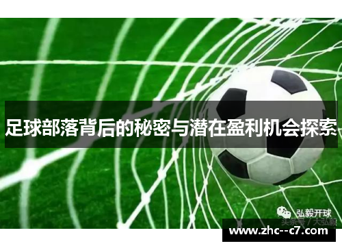 足球部落背后的秘密与潜在盈利机会探索