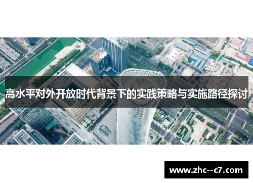 高水平对外开放时代背景下的实践策略与实施路径探讨