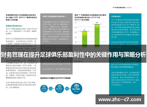 财务管理在提升足球俱乐部盈利性中的关键作用与策略分析 财务管理在提升足球俱乐部盈利性中的关键作用与策略分析