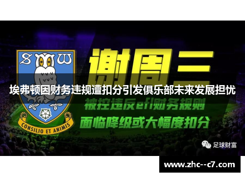 埃弗顿因财务违规遭扣分引发俱乐部未来发展担忧 埃弗顿因财务违规遭扣分引发俱乐部未来发展担忧